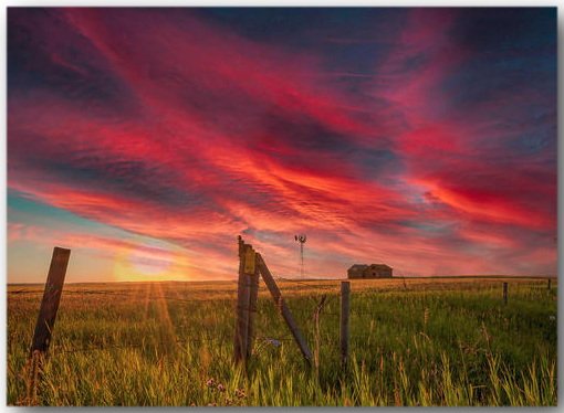 Brief Description of Picture.